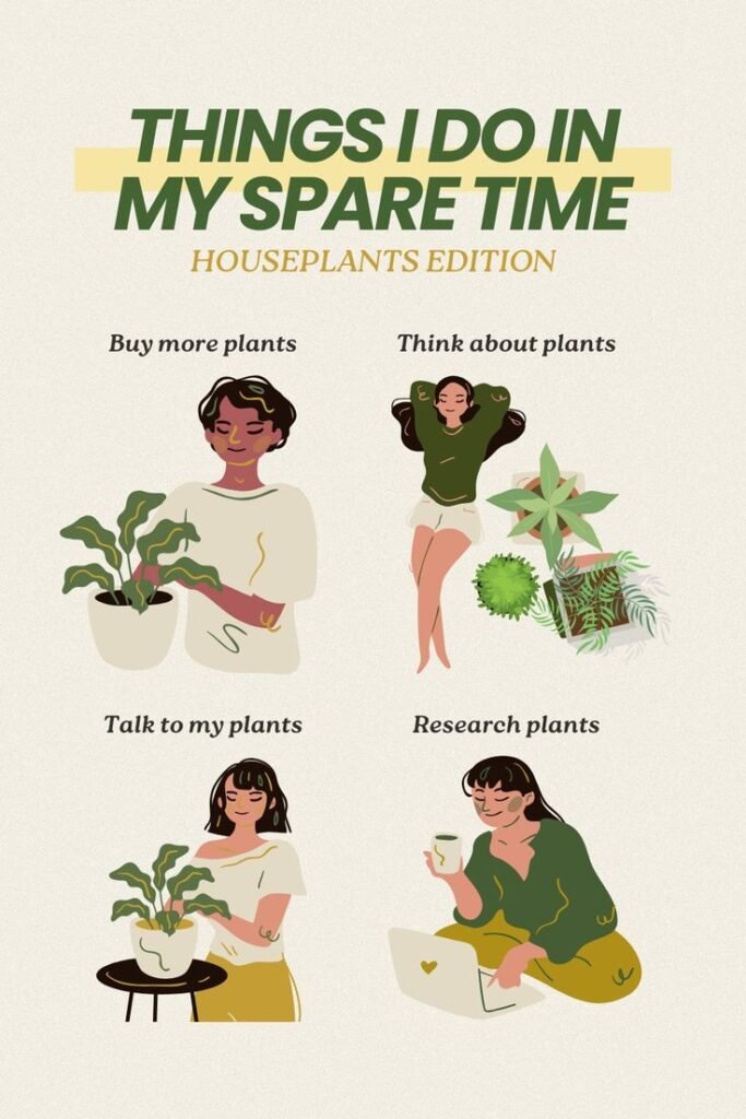 Love for Indoor plants
